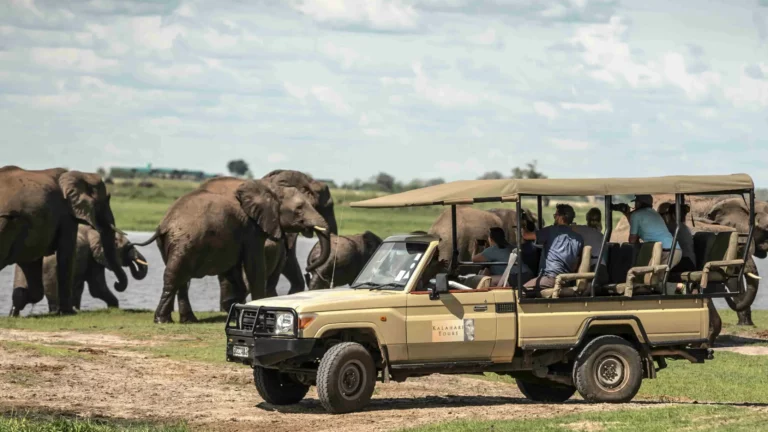 Kalahari Tours