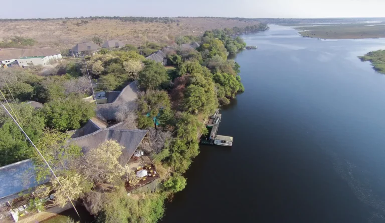 Under One Botswana Sky