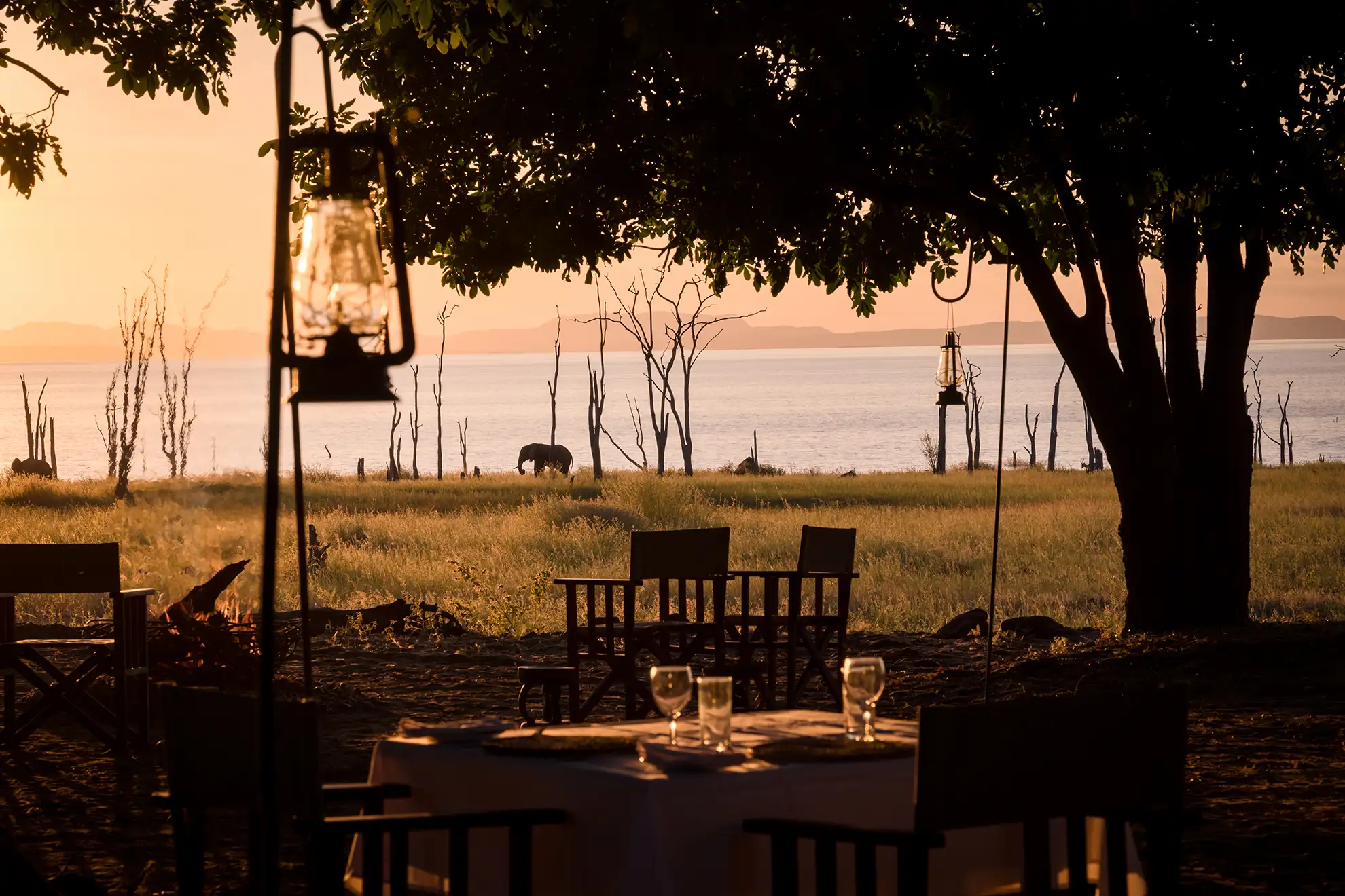 Rhino Safari Camp