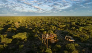 Okuti - Ker & Downey Botswana