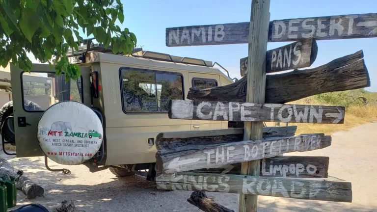 Mama Tembo Tours