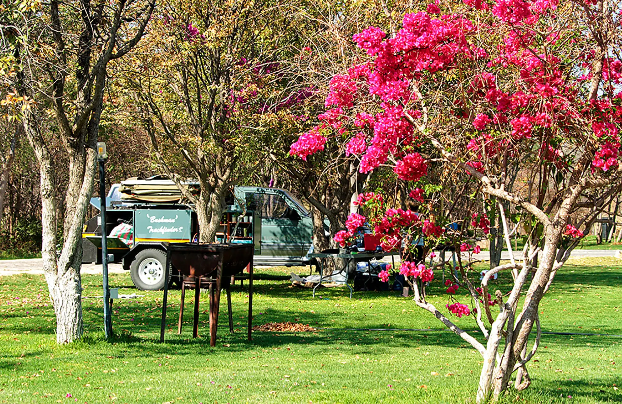 Etosha Safari Campsite - Gondwana Collection Namibia