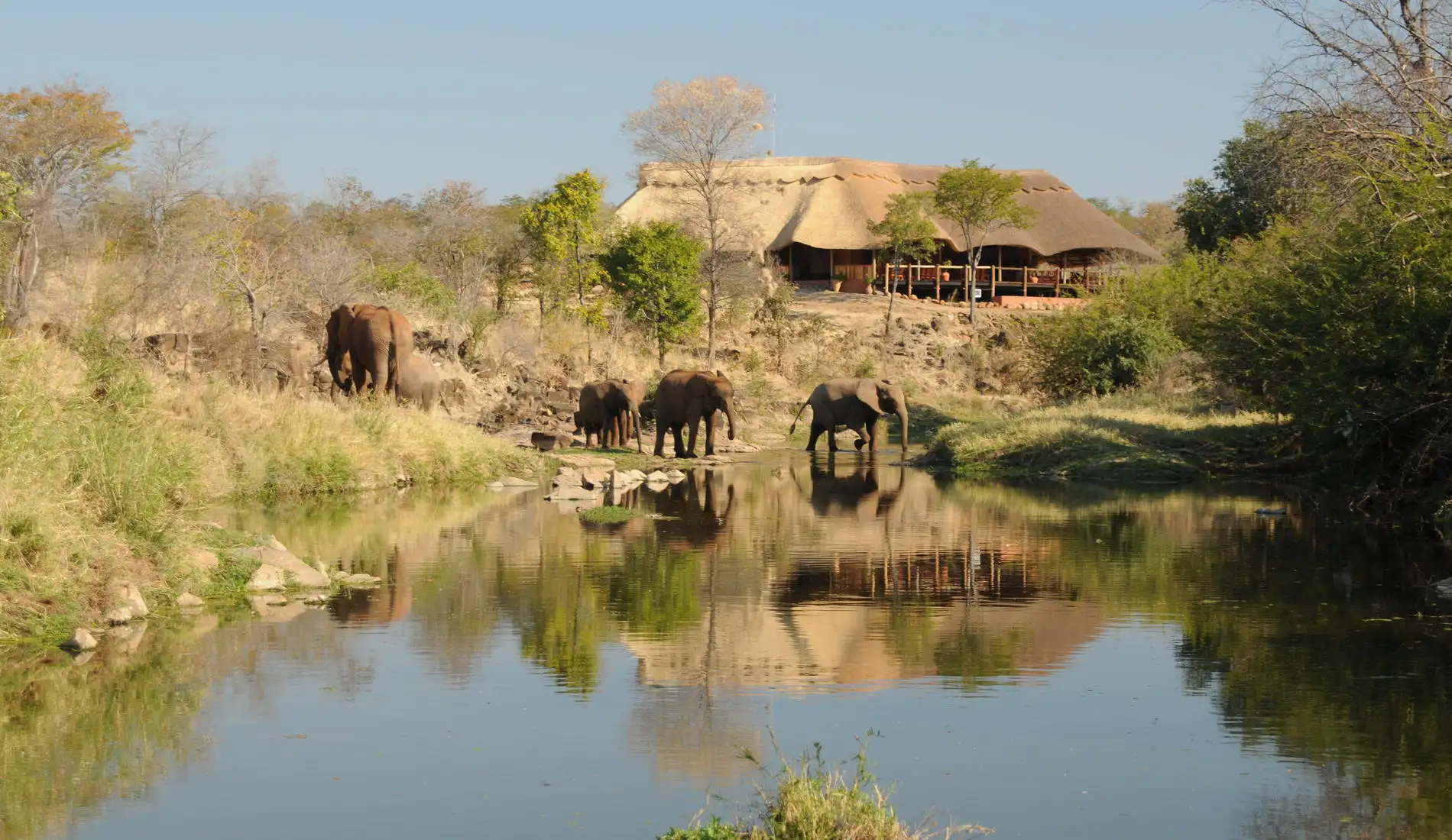 Wallow Lodge