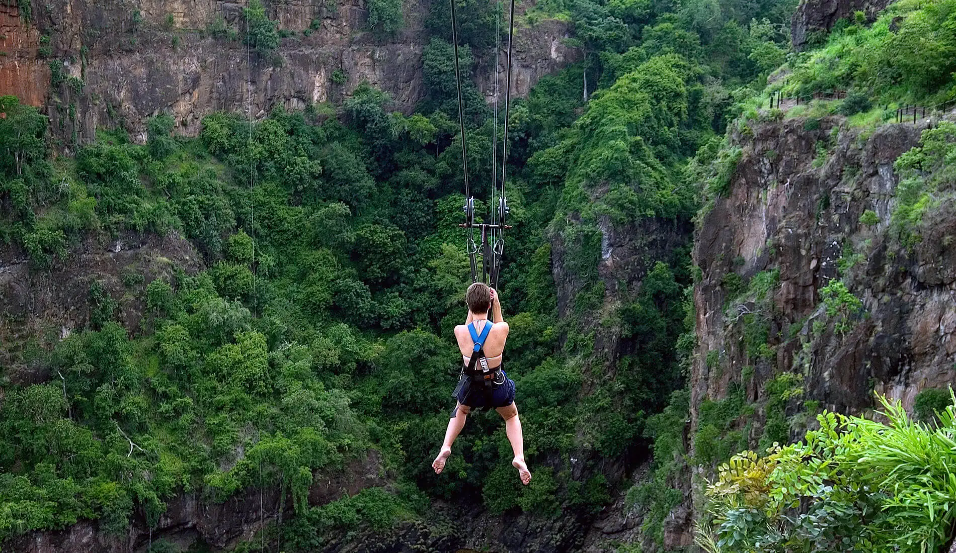 Wild Horizons Zip Line