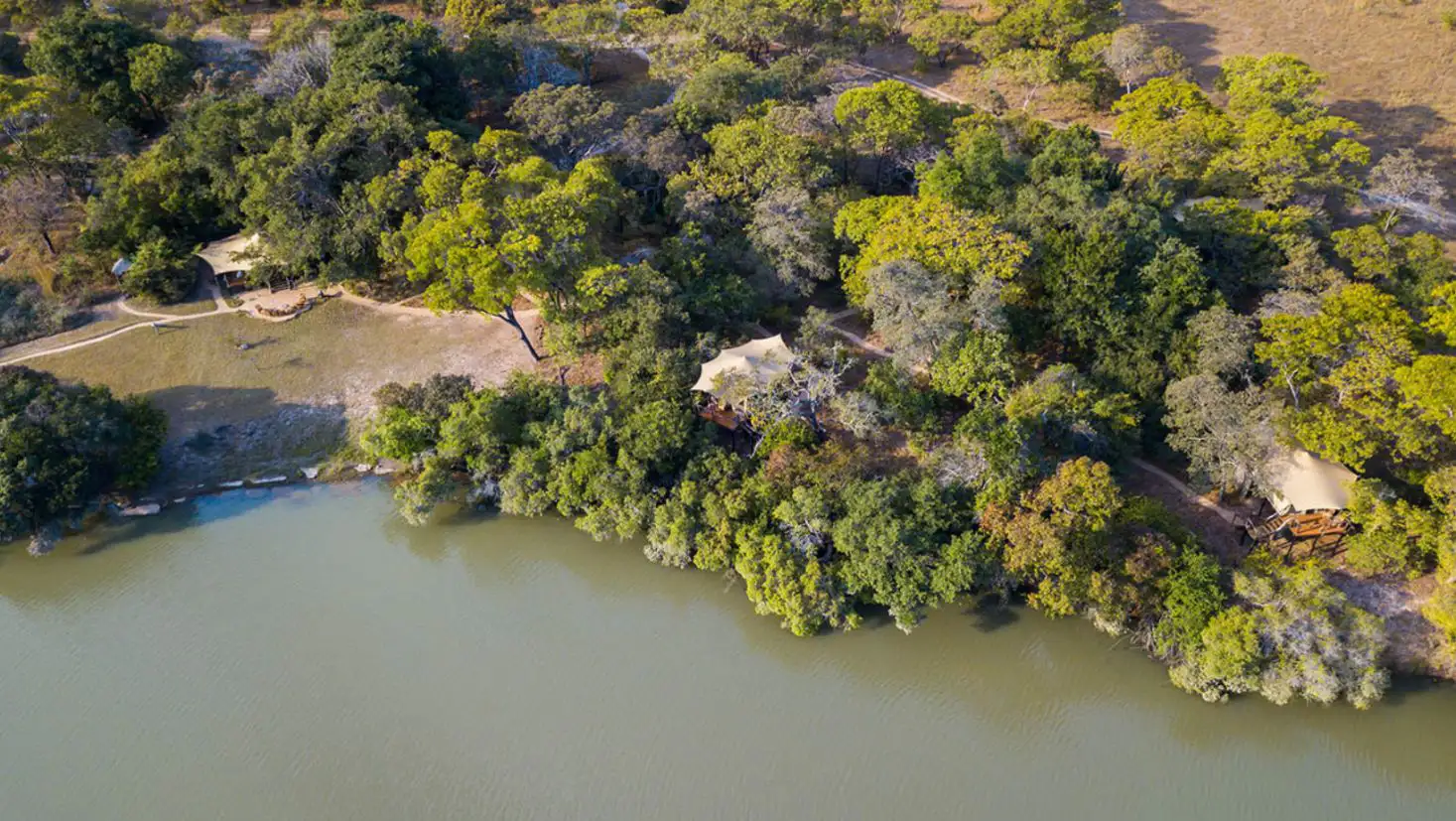 Fig Tree Bush Camp