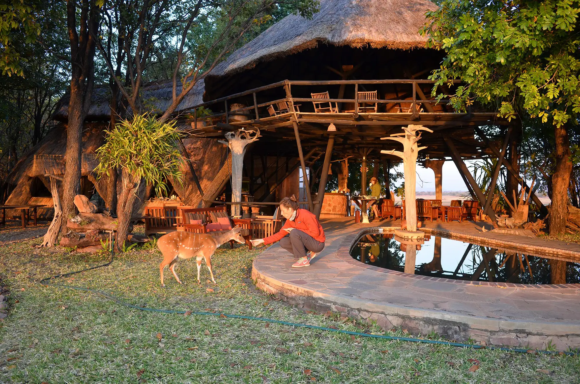 Musango Safari Camp