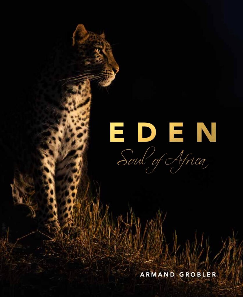 Eden: Soul of Africa book cover by Armand Grobler. A photo at night of a leopard looking into the distance.