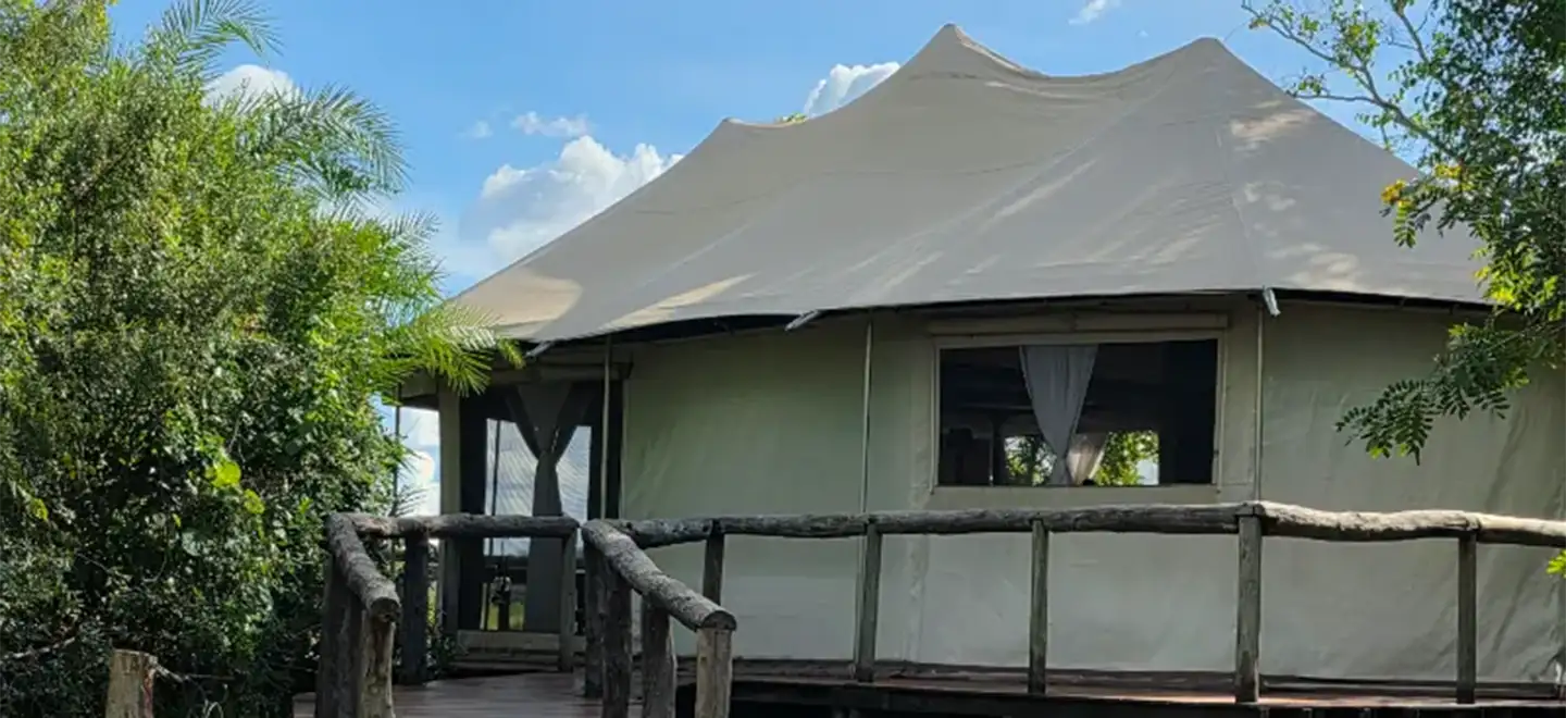 The Sound of Silence: Sensory Recalibration at Ila Safari Lodge